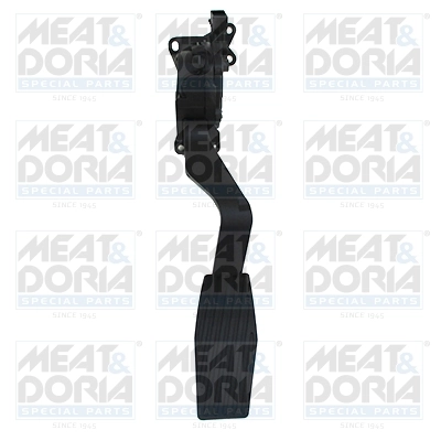 Accelerator Pedal Unit